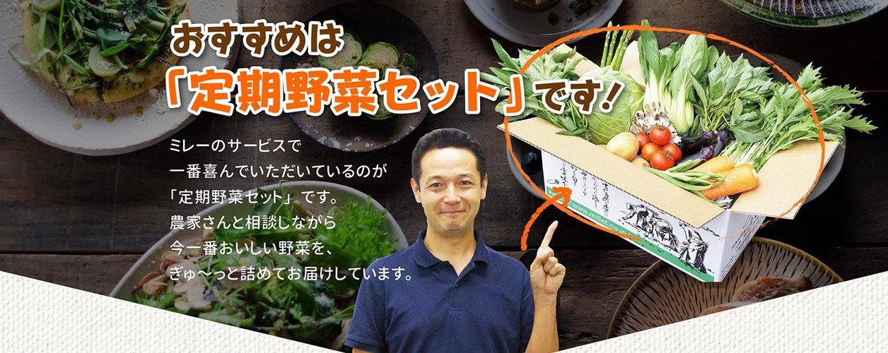 【無農薬野菜ミレー】千葉県香取郡　商品：野菜を中心とした食材